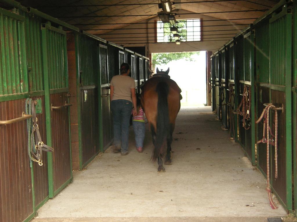 Agriturismo Fano'S Farm Suno Εξωτερικό φωτογραφία