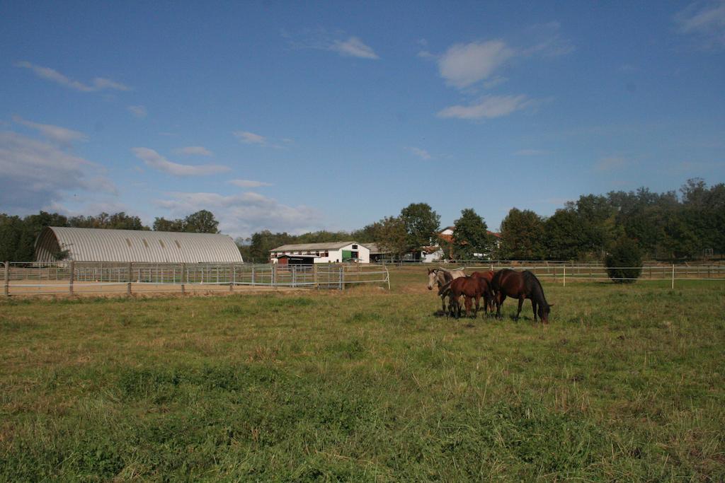 Agriturismo Fano'S Farm Suno Εξωτερικό φωτογραφία